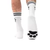 Chaussettes PUPPY Sk8erboy Blanches