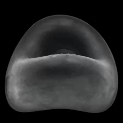 Cockring Silicone FORM SURROUND -Magasin discount de jouets sexuels cockring silicone form surround 3