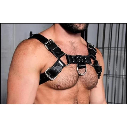 Harnais Bulldog 2.0 Noir 2 Harnais Bulldog 2.0 Noir – Image 2