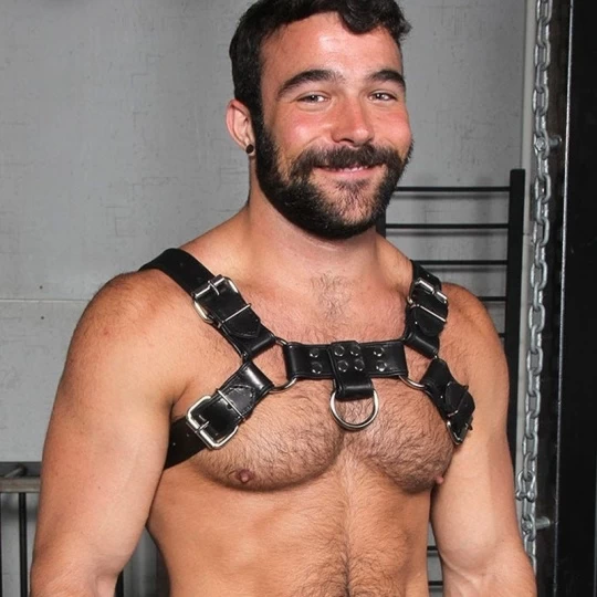 Harnais Bulldog 2.0 Noir 3 Harnais Bulldog 2.0 Noir – Image 3