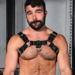 Harnais Bulldog 2.0 Noir