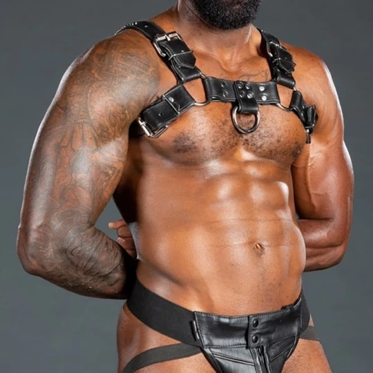 Harnais Bulldog 2.0 Noir 5 Harnais Bulldog 2.0 Noir – Image 5