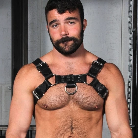 Harnais Bulldog 2.0 Noir 1 Harnais Bulldog 2.0 Noir