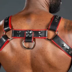 Harnais Bulldog 2.0 Rouge -Magasin discount de jouets sexuels harnais bulldog 20 rouge 4