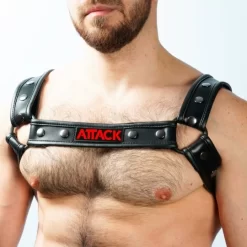Harnais CHEST BLACK