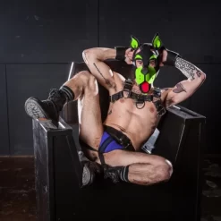 Head Harness NEO WOOF Blanc -Magasin discount de jouets sexuels head harness neo woof blanc 17