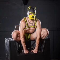 K9 Cagoule Neoprene Jaune -Magasin discount de jouets sexuels k9 cagoule neoprene jaune 4