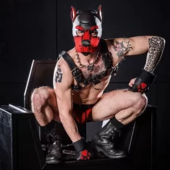 K9 Cagoule Neoprene Rouge 9 K9 Cagoule Neoprene Rouge -Magasin discount de jouets sexuels k9 cagoule neoprene rouge 4