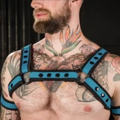 Neo Bold Bulldog Harness Aqua -Magasin discount de jouets sexuels neo bold bulldog harness aqua 2