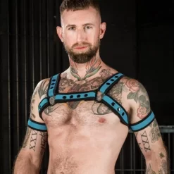 Neo Bold Bulldog Harness Aqua