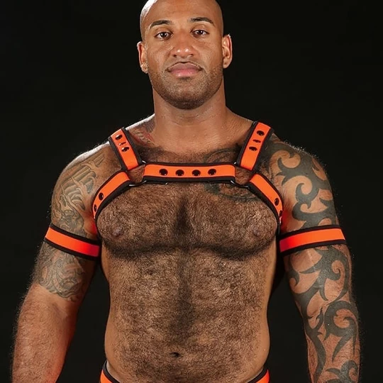 Neo Bold Bulldog Harness Orange 3 Neo Bold Bulldog Harness Orange – Image 3