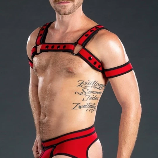 Neo Bold Bulldog Harness Rouge 3 Neo Bold Bulldog Harness Rouge – Image 3
