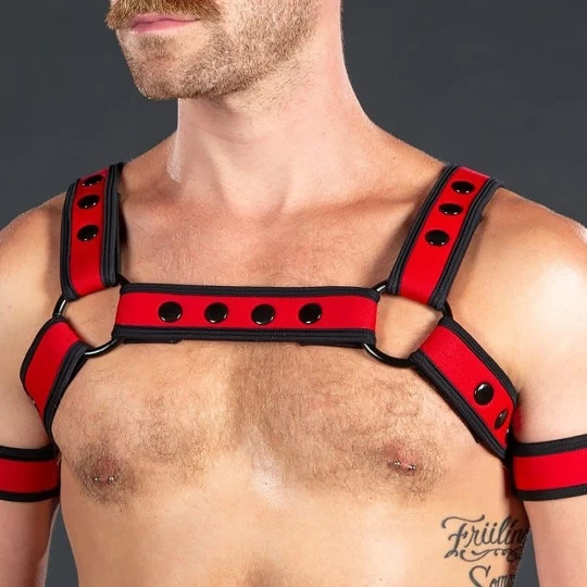 Neo Bold Bulldog Harness Rouge 4 Neo Bold Bulldog Harness Rouge – Image 4