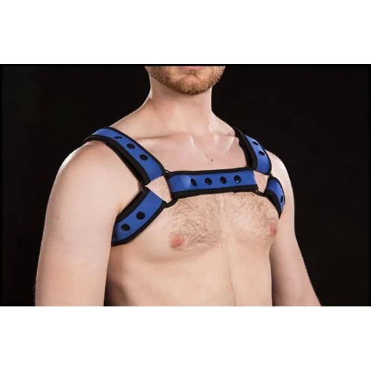 Neo Bold Bulldog Harness Royal 2 Neo Bold Bulldog Harness Royal – Image 2