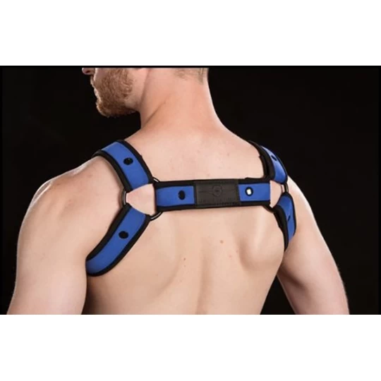 Neo Bold Bulldog Harness Royal 3 Neo Bold Bulldog Harness Royal – Image 3