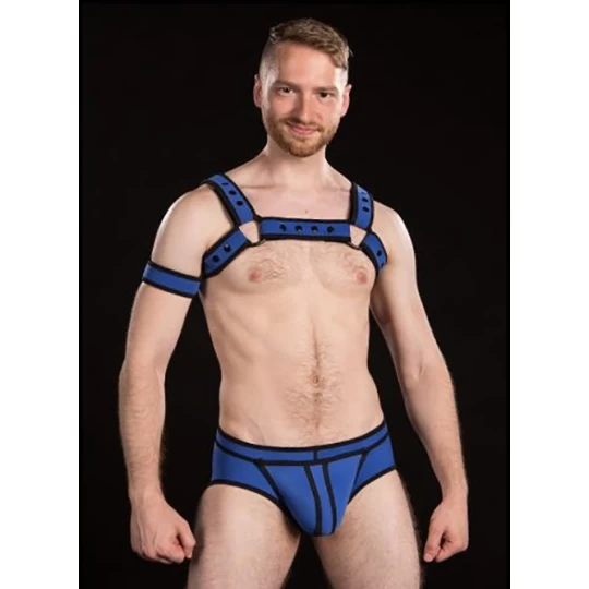 Neo Bold Bulldog Harness Royal 1 Neo Bold Bulldog Harness Royal