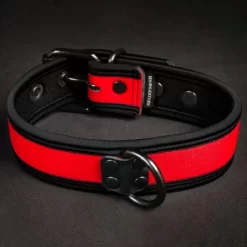 Neo Bold Puppy Collar Rouge
