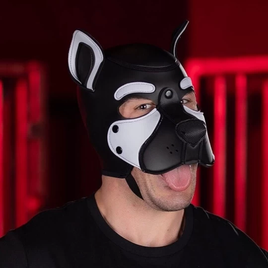 NEO FRISKY Puppy Hood Blanc 1 NEO FRISKY Puppy Hood Blanc