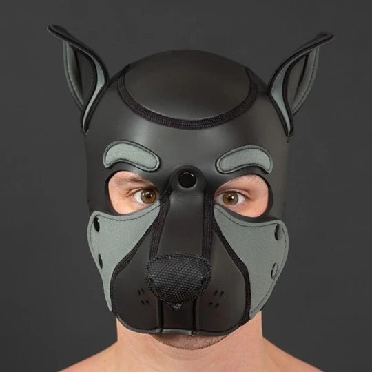 NEO FRISKY Puppy Hood Gris 2 NEO FRISKY Puppy Hood Gris â Image 2