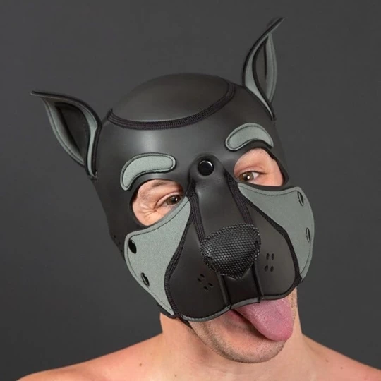 NEO FRISKY Puppy Hood Gris 3 NEO FRISKY Puppy Hood Gris â Image 3