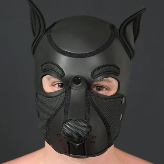 NEO FRISKY Puppy Hood Noir 2 NEO FRISKY Puppy Hood Noir â Image 2