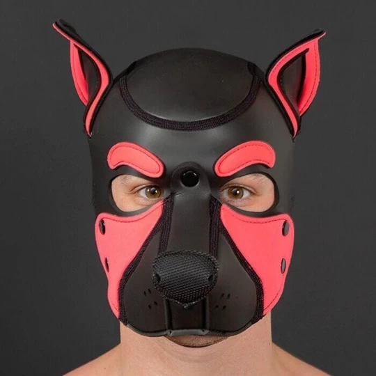 NEO FRISKY Puppy Hood Rose 2 NEO FRISKY Puppy Hood Rose – Image 2