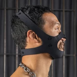 Neo Head Harness