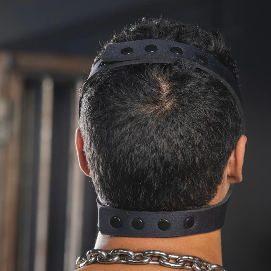 Neo K9 Muzzle + Head Harness 3 Neo K9 Muzzle + Head Harness – Image 3