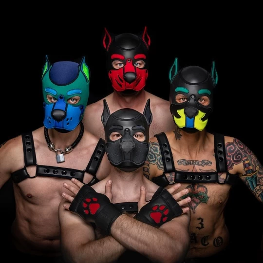 Neo K9 Puppy Hood Customisée 1 Neo K9 Puppy Hood Customisée