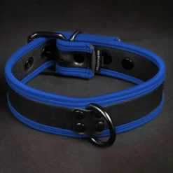 Néo Puppy Collar Noir Bleu