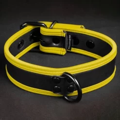 Néo Puppy Collar Noir Jaune