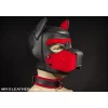 Néo Puppy Collar Noir Rouge