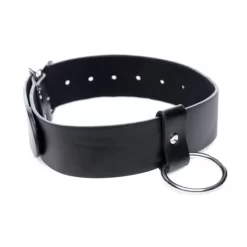 XR Brands Wide Leather Collar